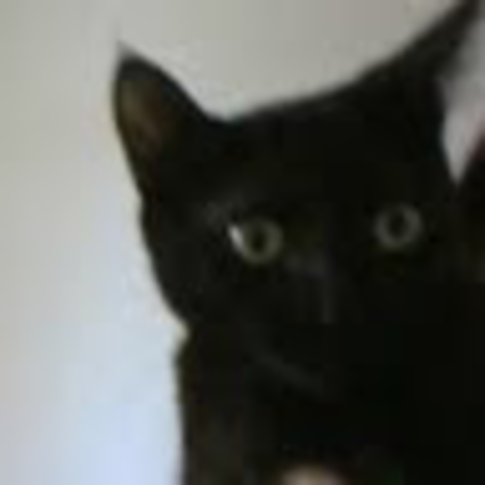 Meet your Posher, Malayna